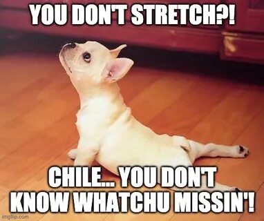 Dog Stretching Meme - Imgflip