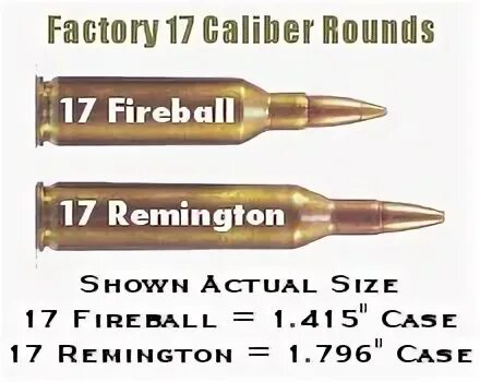 17 Fireball Ammo Wins Award " Daily Bulletin