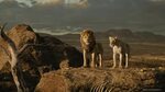Vagebond's Movie ScreenShots: Lion King, The (2019) part 4
