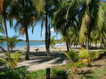 Playa Carrillo beach, Costa Rica - Ultimate guide (August 20