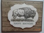 Greeting Cards & Invitations I Love Buffalos Greeting Card B