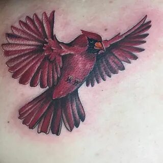 Cardinal tattoo in memory of my Grandmother. Done my Georgin