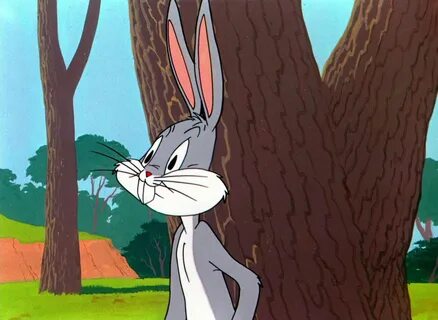 Supreme Bugs Bunny Hoodie : Looney Tunes Background (58+ ima