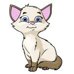 Free Cartoon Cat, Download Free Clip Art, Free Clip Art on C