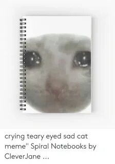 🔥 25+ Best Memes About Teary Eyed Meme Teary Eyed Memes