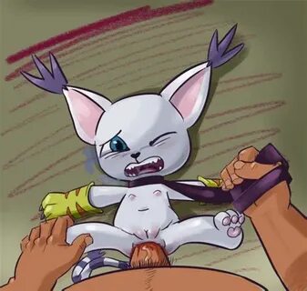 Digimon Gatomon Sex Free Nude Porn Photos