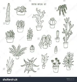 Succulent Cactus Outline Set: стоковая векторная графика (бе