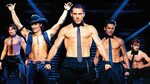 Magic Mike Cast / Joe Manganiello Has A Blunt Thought About 
