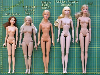 Doll body comparison photo - Momoko - 1/ 6 scale female fi. 