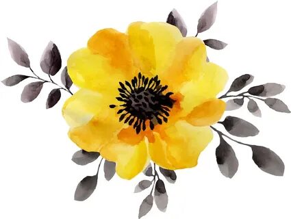 Flower Yellow Watercolor Painting Stock Illustration - Yello