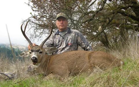 Dier Hunter / Whitetail Deer Hunting - Schaper Thicanat