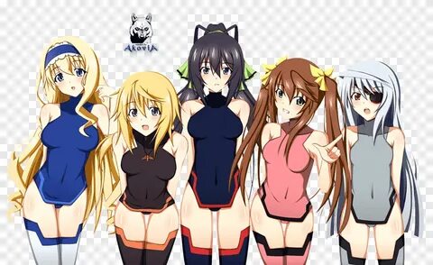 Infinite Stratos IS Volume 1 Anime Manga, Anime, Rambut hita