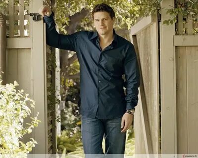 #DavidBoreanaz #ДэвидБореаназ #ДевидБореаназ David Boreanaz 