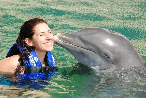 Swim with Dolphins in Mexico Let's Enjoy Mexico
