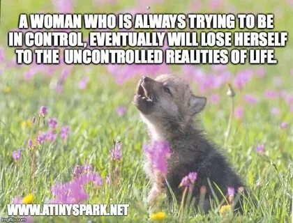 Baby Insanity Wolf Animal memes, Animals, Insanity wolf meme