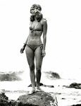 51 Sexy Yvette Mimieux Boobs Pictures Will Expedite An Enorm