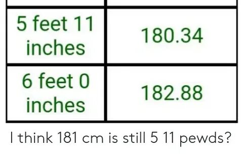 5.11 Feet In Cm - areas