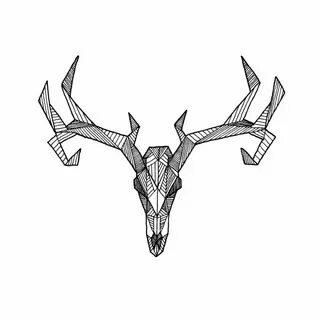 mule deer antlers - Google Search Geometric deer, Deer skull