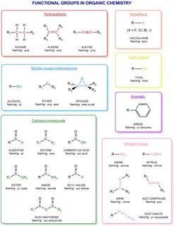 Functional groups in organic chemistry - ChemistryScore