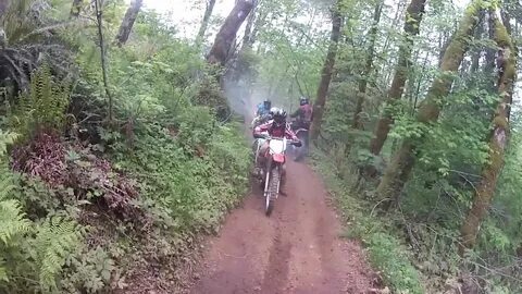 Honda CRF450R & KTM SX250, Dirt Bike riding Capitol Forest -