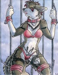 The Big ImageBoard (TBIB) - bdsm canine clothed clothing col