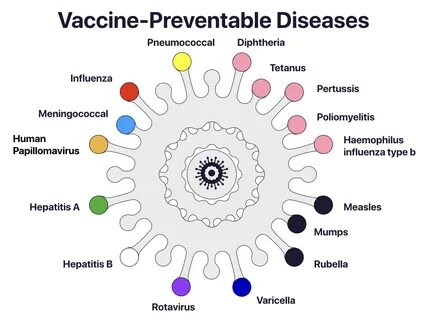 What is a Vaccine-Preventable Disease (VPD)? - Vaccine Pract