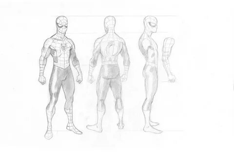 SpiderMan Drawing Reference and Sketches for Artists