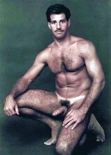 bears and very hairy men - bears and very hairy men MOTHERLE