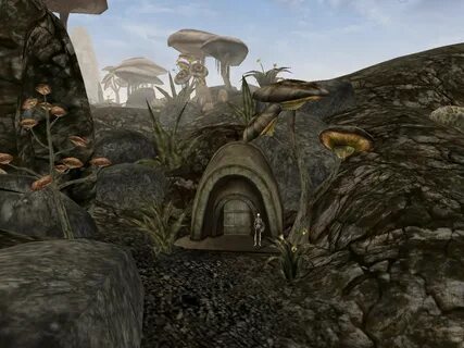 Mormânt ancestral Sadryon (Morrowind)