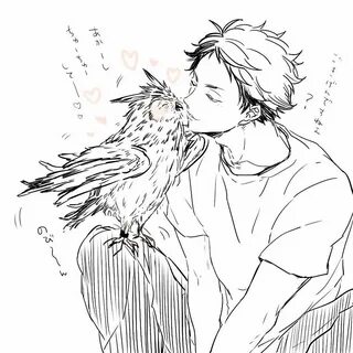 #akaashi #hq Haikyuu anime, Haikyuu manga, Haikyuu fanart