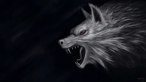 Killer Wolfs Wallpapers - Wallpaper Cave