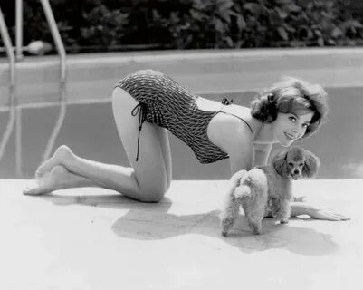 Old Hollywood Pups! Marilyn Monroe, Audrey Hepburn, and Fran