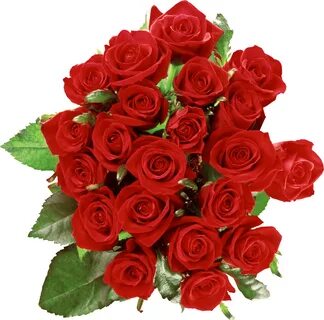 3-bouquet-of-roses-png-image-picture-download.png ImageBan.r