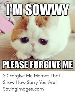 PLEASE FORGIVE ME 20 Forgive Me Memes That'll Show How Sorry