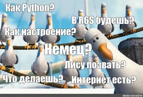 Комикс мем: "Как Python? В R6S будешь? Как настроение? Немец