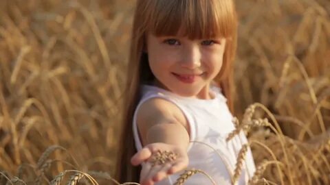 Lovely little girl standing in wheat holding grain in her ha