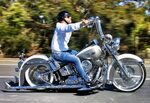 carlini gangster apes softail deluxe OFF-75