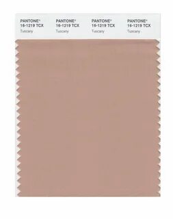 Pantone Smart 16 1454 Tcx Color Swatch Card Pantone All in o