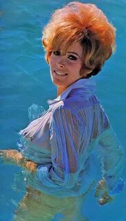 Image of Jill St. John