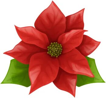 Poinsettia Flower Free Clip Art - Awesome Planting Ideas