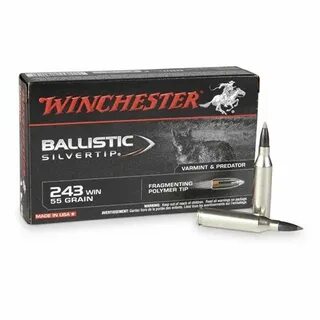 243 Winchester Ballistics Chart - Floss Papers