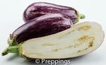 Ingredient Of The Day: Graffiti Eggplant - Preppings