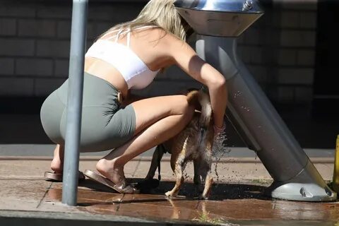 Jaimie Gardner - Walking her dog in Sydney-45 GotCeleb