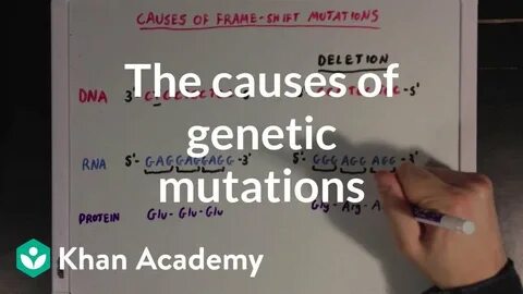 Mutations Pogil Key : Asiatic Parrots And Their Mutations Ba