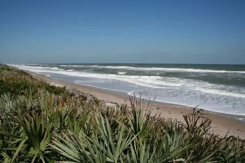 Canaveral National Seashore (Titusville) - 2019 All You Need