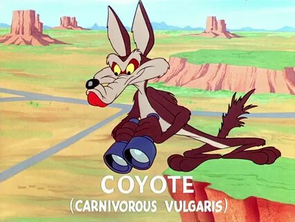 Looney Tunes Pictures: "Fast and Furry-ous"