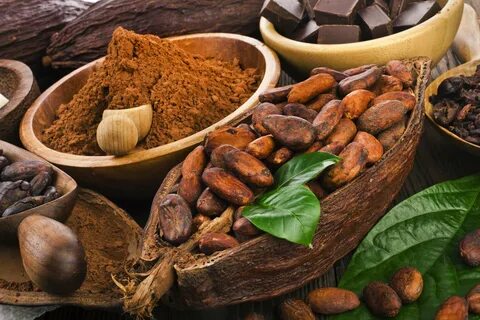 Ягоды какао (74 фото)