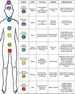 Gallery of chakra chart poster colors meanings body parts 24