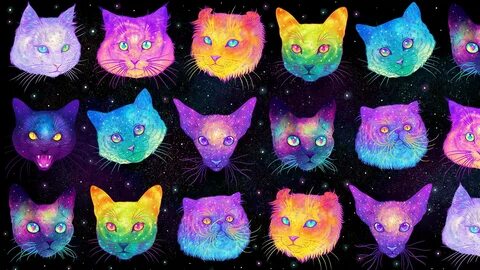 Фиолетовые фоны с кошками - 55 фото для презентаций и картин
