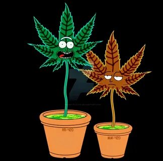 Weed Rick And Morty Background / Rick and morty - Download n